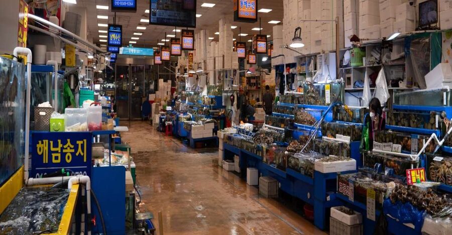 Seoul: The Biggest Sea-food Noryangjin Market Tour - FAQ