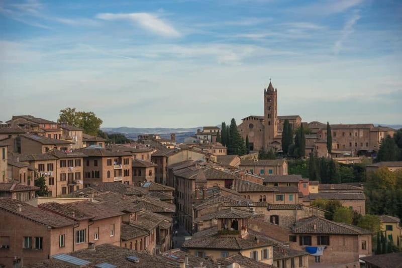 Siena: Guided Walking Food Tour with Full Meal - What $105 buys you in Siena