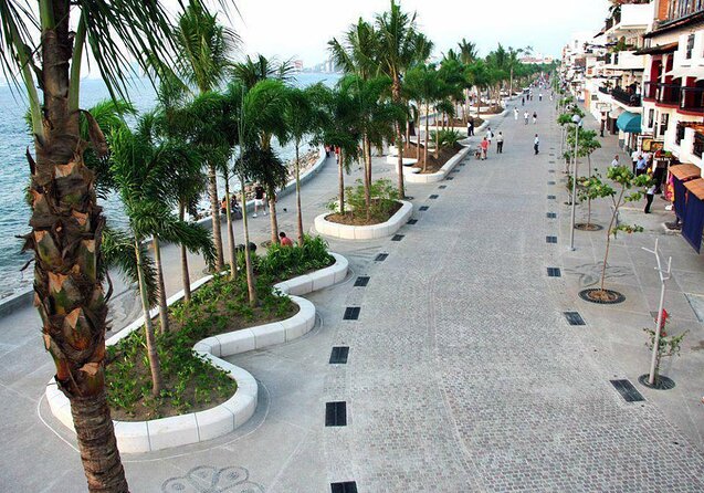 Signature Taco Tour in PV with Vallarta Eats - Five useful things to know before you book