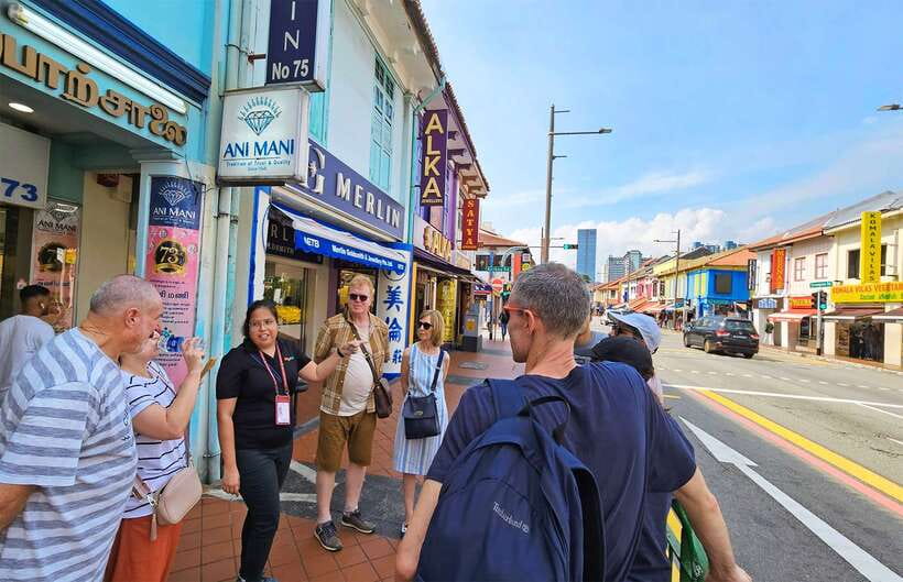 Singapore: Little India Hawker Street Food Tour - Group size, pace, and guide quality