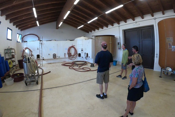 Small-Group Food and Wine Tour from Cagliari - Santa Maria di Sibiola and a brief look at rural Sardinia