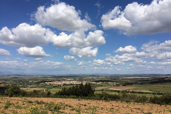 Small-Group Food and Wine Tour from Cagliari - Who should book this experience?