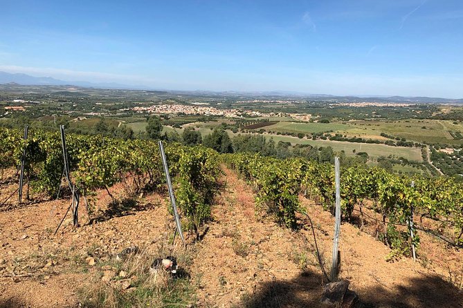Small-Group Food and Wine Tour from Cagliari - Should you book the Cagliari wine tour?