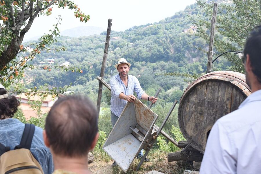 Sorrento: Farm Tour with Cheese Tasting & Pizza Making Class - Key points before you book