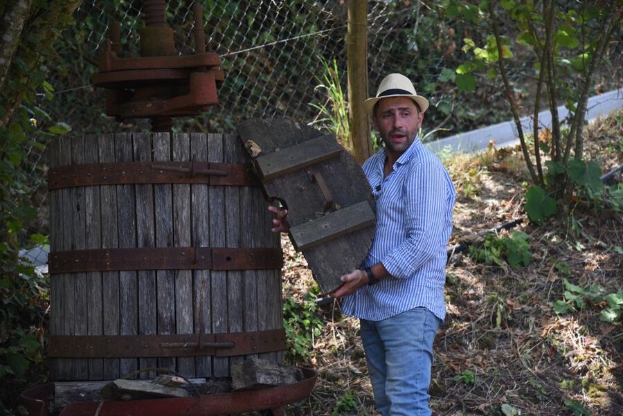 Sorrento: Farm Tour with Cheese Tasting & Pizza Making Class - Value, timing, and practical expectations