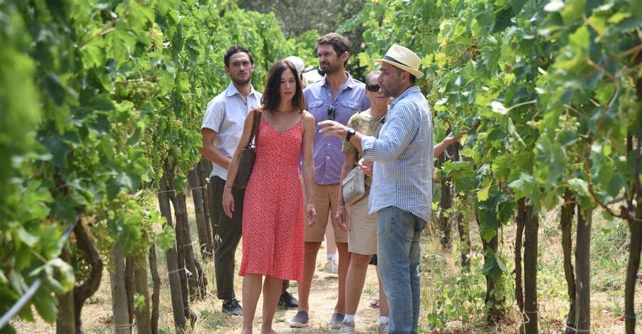 Sorrento: Farm Tour with Cheese Tasting & Pizza Making Class - Why this farm visit feels different from a standard cooking class
