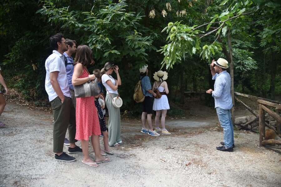 Sorrento: Farm Tour with Cheese Tasting & Pizza Making Class - Watching mozzarella and caciotta take shape