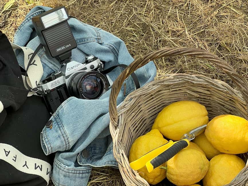 Sorrento: Lemon Picking & Tasting Tour - Key details before you book