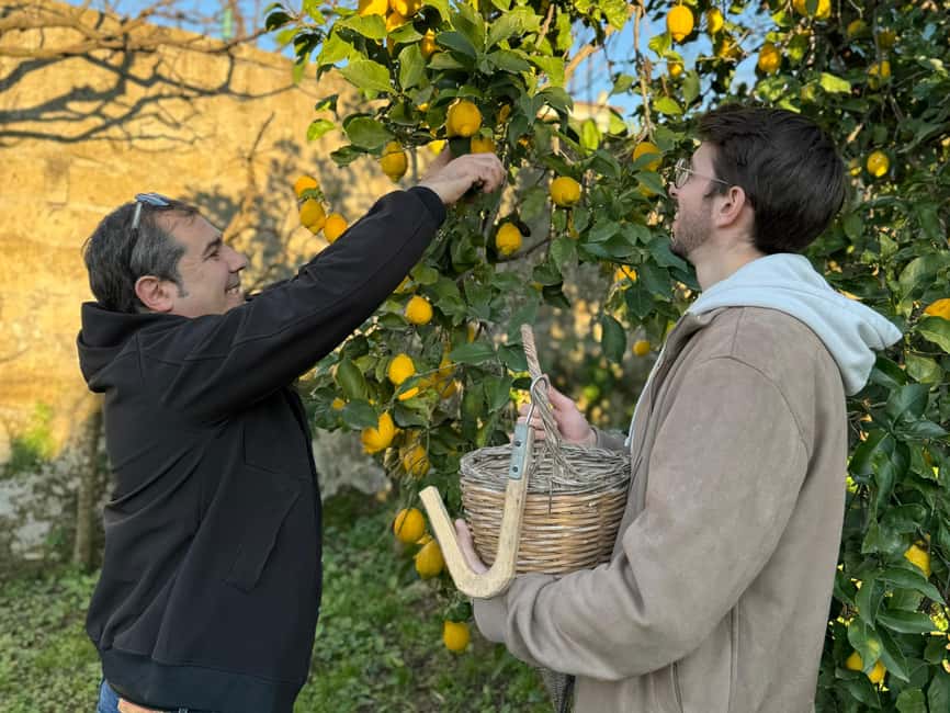Sorrento: Lemon Picking & Tasting Tour - Making lemonade and tasting local preserves
