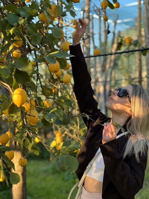 Sorrento: Lemon Picking & Tasting Tour - The final Limoncello toast