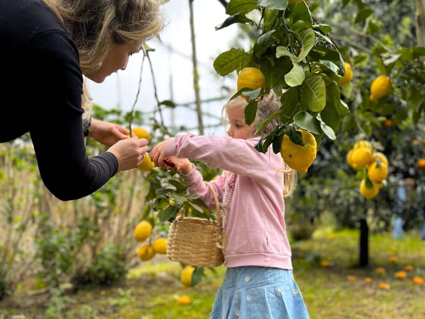 Sorrento: Lemon Picking & Tasting Tour - Who will enjoy this farm experience most?