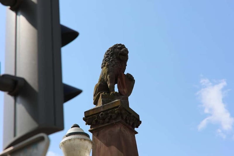 Strasbourg: Culinary Tour - Strasbourg stories during the 90-minute city walk