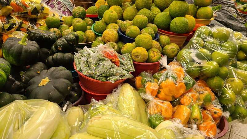 Street Food Walking Tour in Merida - Starting at Hotel Caribe in Central Mérida
