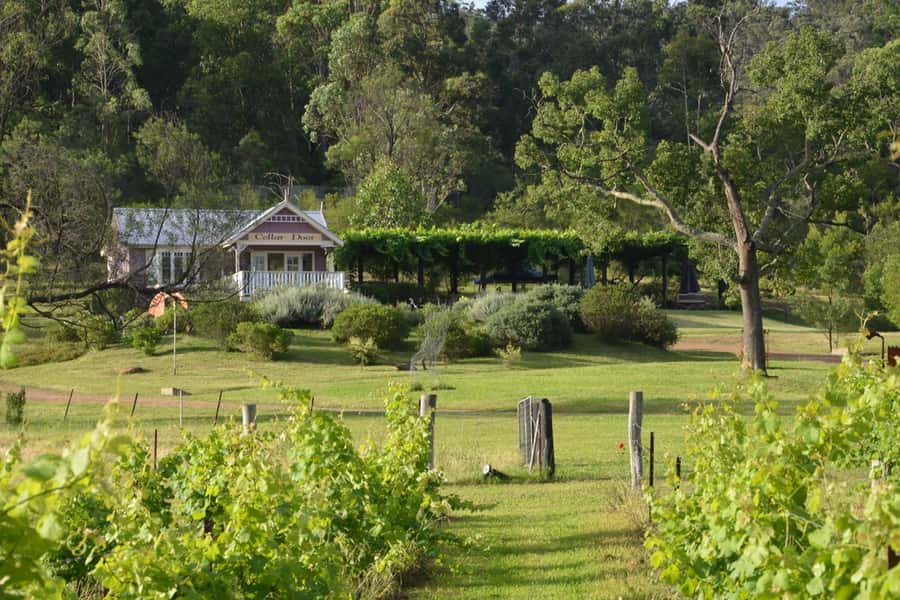 Sydney: Chef-Led Hunter Valley Food & Wine Tour - Key points at a glance