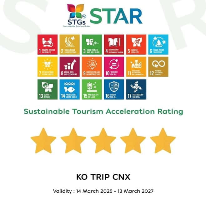 Taste of Chiang Mai: Michelin Guide & Street Food Tour - Key points at a glance