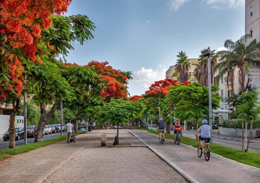 Tel Aviv: Carmel Market & Tel Aviv Tour with Tastings - Starting at Kaufman Street and the Old Railway Station