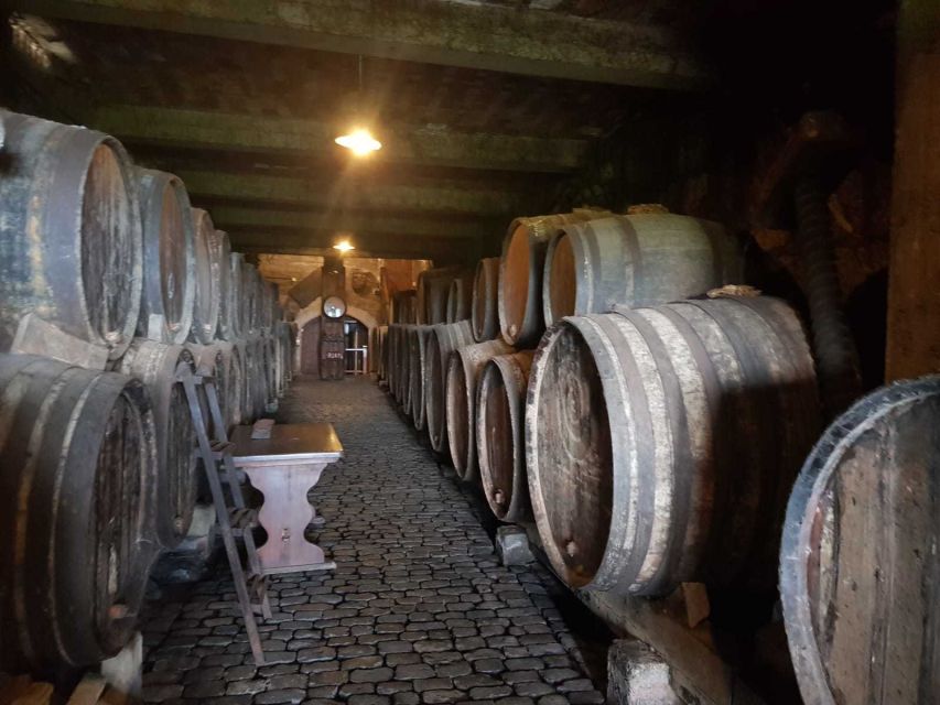 Tenerife: 4-Hour Gauchinche Food Tour - A bodega, coffee, and the north coast view