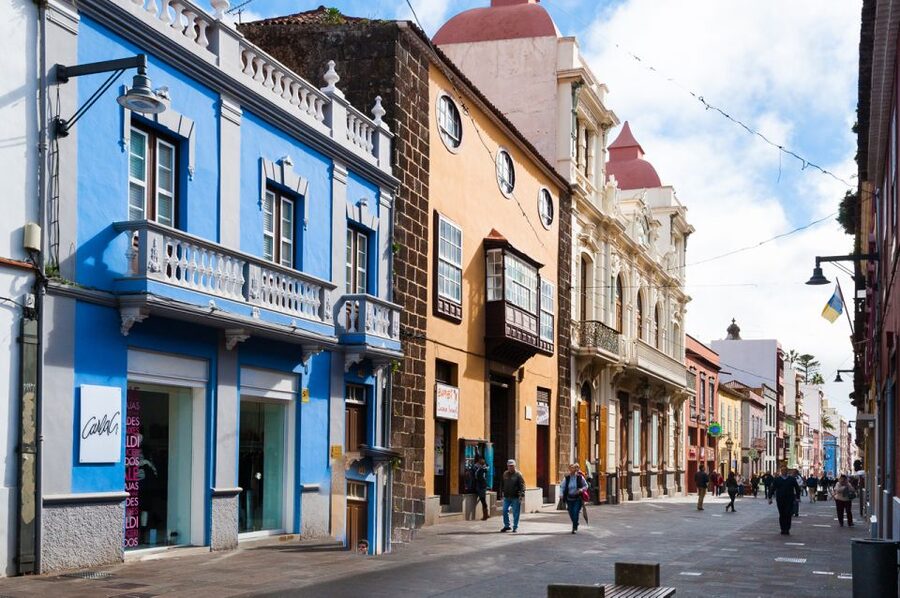 Tenerife: Full-Day Gastronomy and Wine Tour - Why this tour works as a Tenerife day out