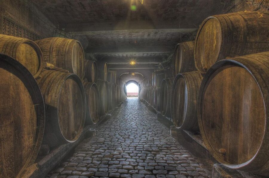 Tenerife: Full-Day Gastronomy and Wine Tour - Guides make a real difference