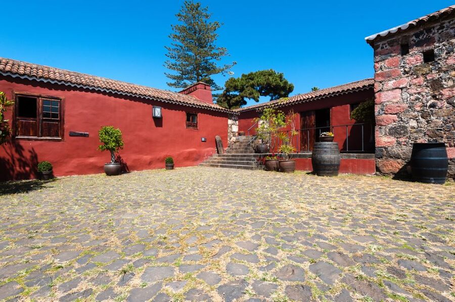 Tenerife: Full-Day Gastronomy and Wine Tour - Transport, timing, and comfort