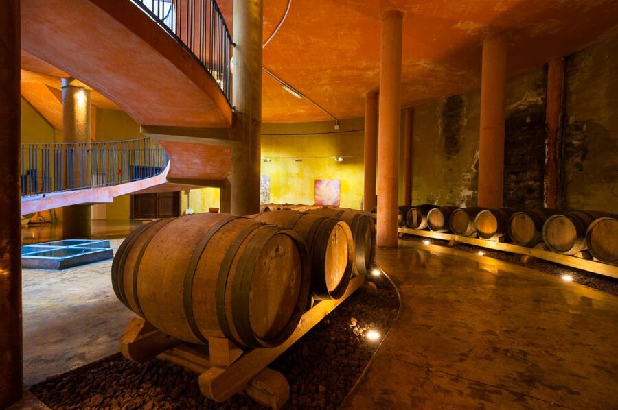 Tenerife: Full-Day Gastronomy and Wine Tour - Who should book this day?