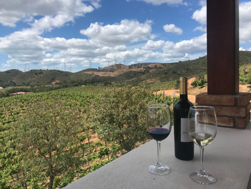 The Real Algarve: 2 Boutique Wineries & Silves Tour - Who should book it?