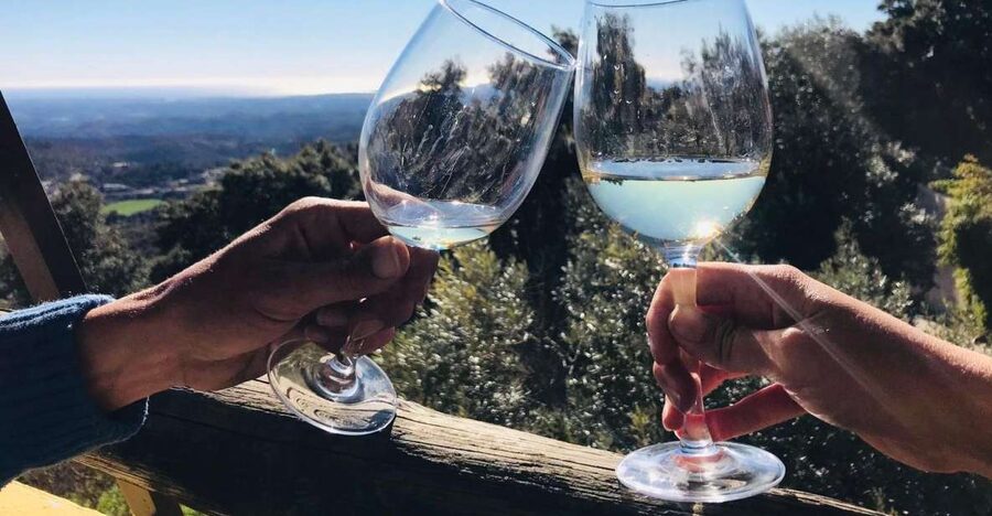The Real Algarve: 2 Boutique Wineries & Silves Tour - Why this Algarve wine day works