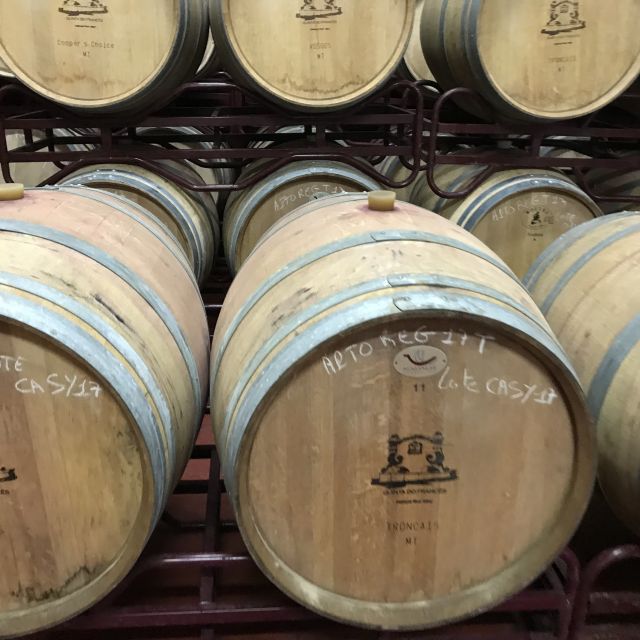 The Real Algarve: 2 Boutique Wineries & Silves Tour - First winery: a close look at Lagoa production