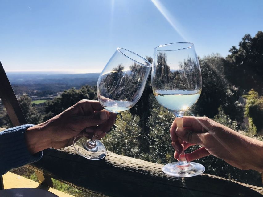 The Real Algarve: 2 Boutique Wineries & Silves Tour - Silves: two hours for a medieval pause