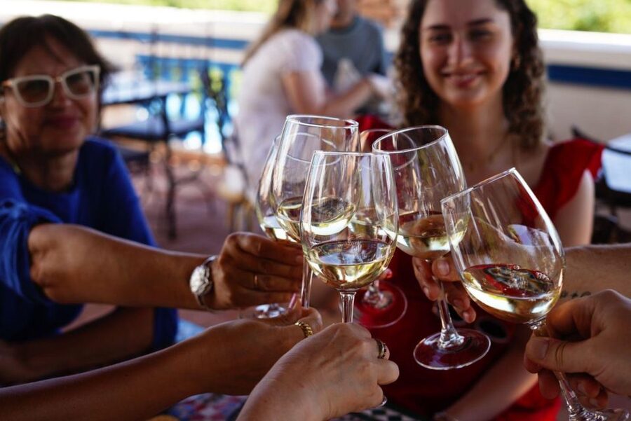 The Real Algarve: 2 Boutique Wineries & Silves Tour - What the guides add