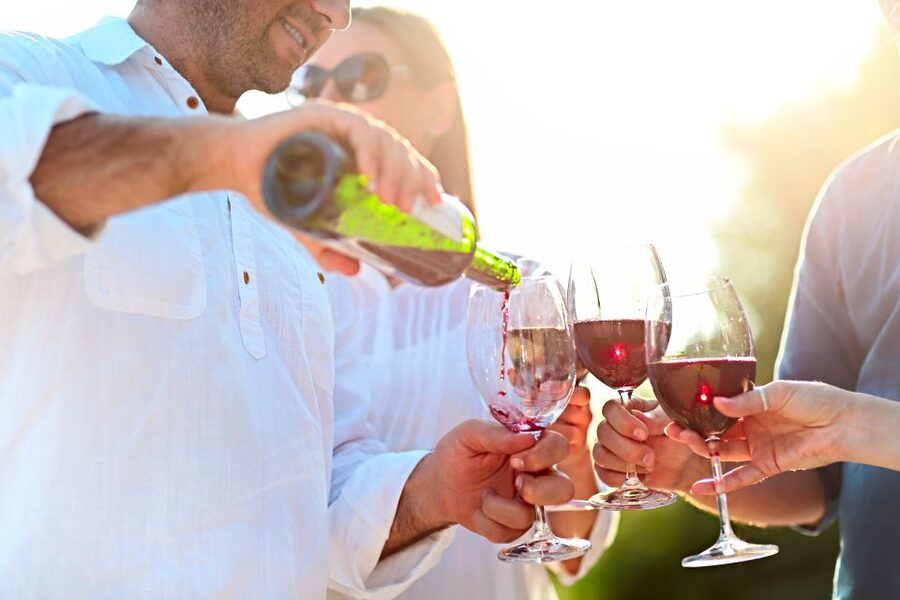 The Real Algarve: 2 Boutique Wineries & Silves Tour - Small groups and the feel of the day