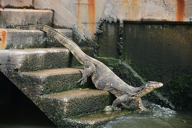Timeless Thonburi Canal and Food Tour - Wang Lang delivers the final savory dishes