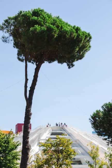 Tirana City & Food Tour - Meals Included (small group) - The Castle of Tirana and a taste of olive oil