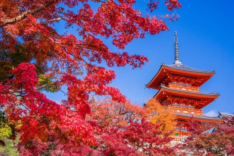 Tokyo: Mount Fuji and Hakone Full Day Tour with Ramen Making - Weather, traffic, and changing plans