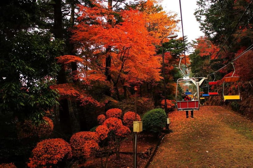 Tokyo: Mt Takao Tour with Ramen and Tattoo-Okay Hot Spring - Why Mt Takao makes a smart break from central Tokyo