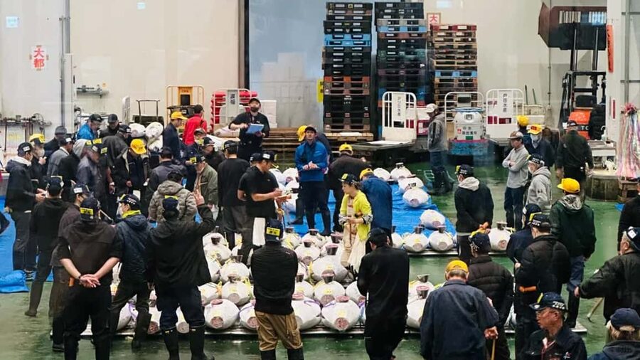Tokyo: Toyosu Tuna Auction &Tsukiji Market Gourmet Adventure - A short look at Toyosu’s working market