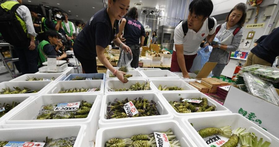 Tokyo Tsukiji Food & Culture Private Tour Licensed Guide - How I would plan the six-hour version