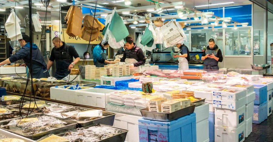 Tokyo Tsukiji Food & Culture Private Tour Licensed Guide - Why this food tour works better than a fixed group outing