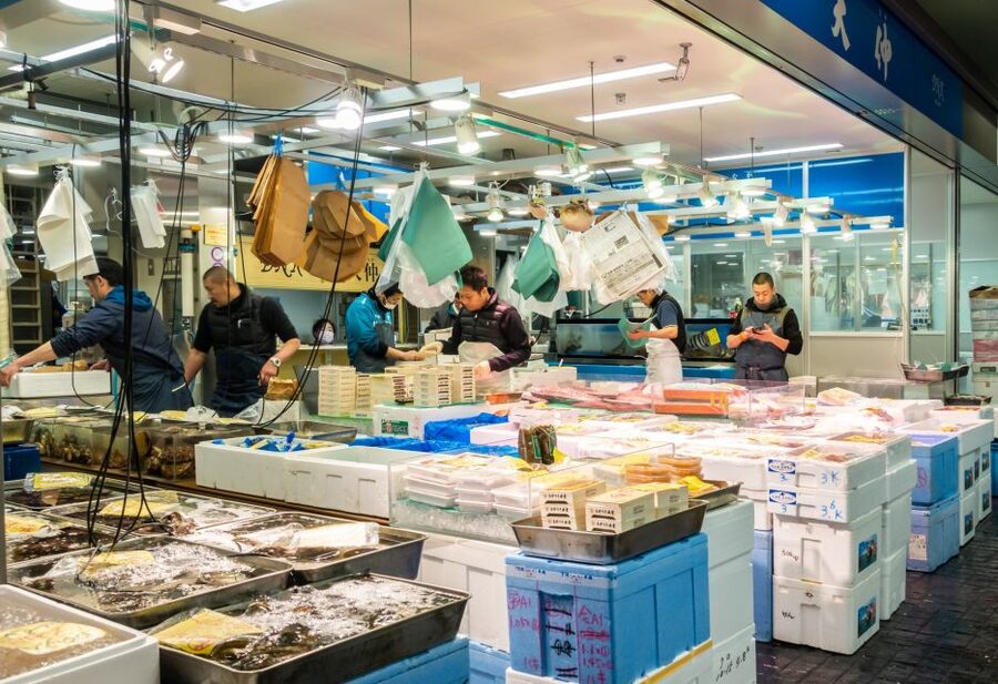 Tokyo Tsukiji Food & Culture Private Tour Licensed Guide - Toyosu Market brings the modern market story