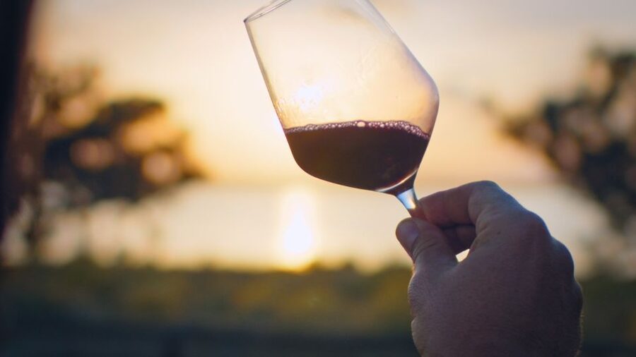 Torrevieja: Local Wine and Food Tasting Tour in La Mata Park - Starting at the La Mata Nature Park entrance