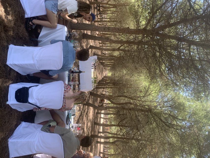 Torrevieja: Local Wine and Food Tasting Tour in La Mata Park - Following the vineyard route through Torrevieja