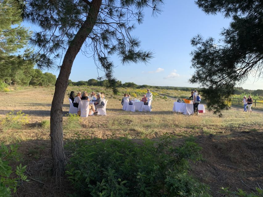 Torrevieja: Local Wine and Food Tasting Tour in La Mata Park - Heat, walking distance, and the practical comfort question