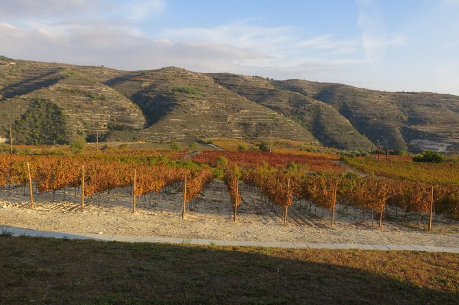 Troodos Mountains Grape Escape: All Inclusive Food & Wine Tour - Wine tasting in the Troodos mountain region