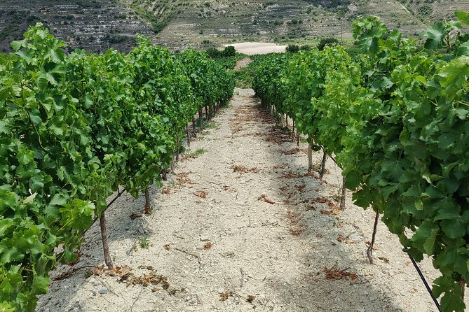 Troodos Mountains Grape Escape: All Inclusive Food & Wine Tour - Full meze lunch with drinks