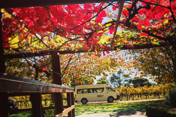 Ultimate Swan Valley Food and Wine Day Trip from Perth - Guides can make or break the experience