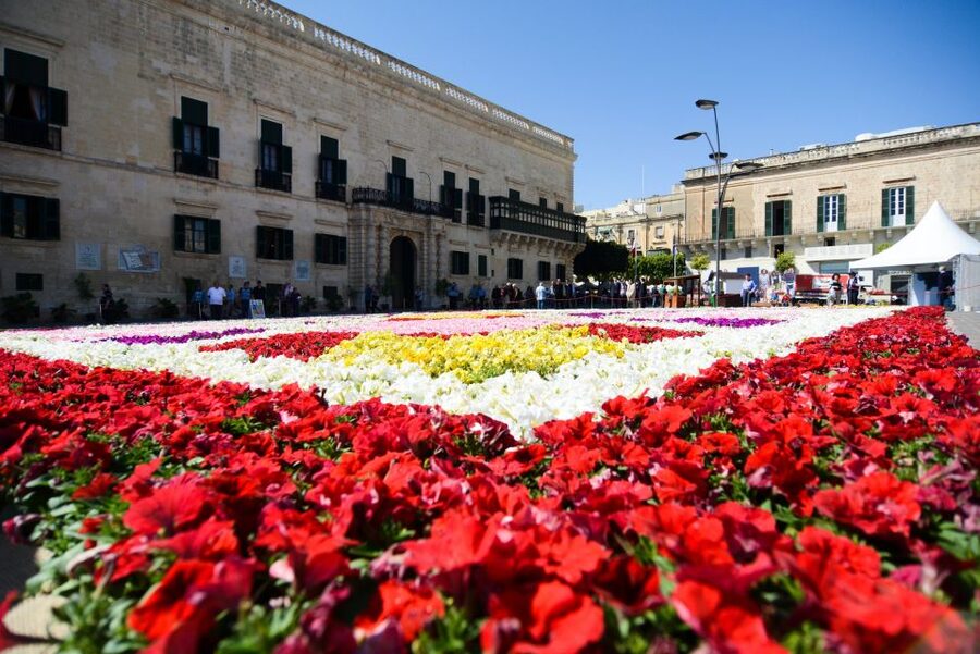 Valletta: Street Food and Culture Walking Tour - Why food is a smart way to meet Valletta