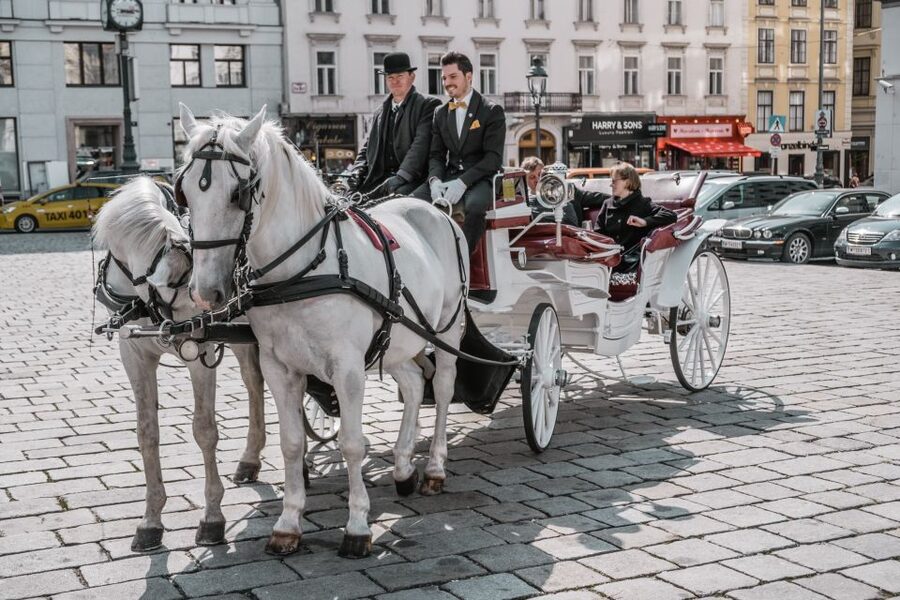 Vienna: Culinary Horse-Drawn Carriage Experience - Burgtheater, Opera, And The Ringstrasse