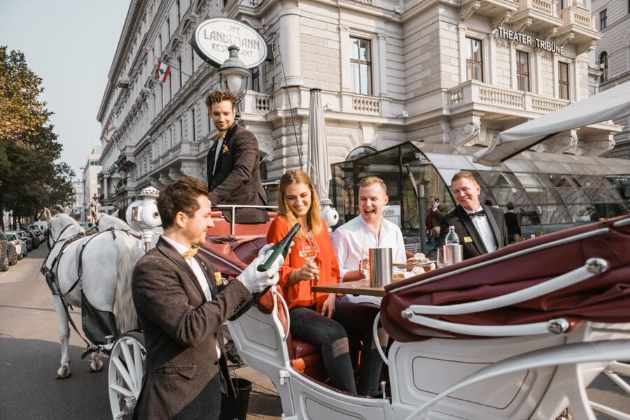 Vienna: Culinary Horse-Drawn Carriage Experience - Why The Slow Pace Works