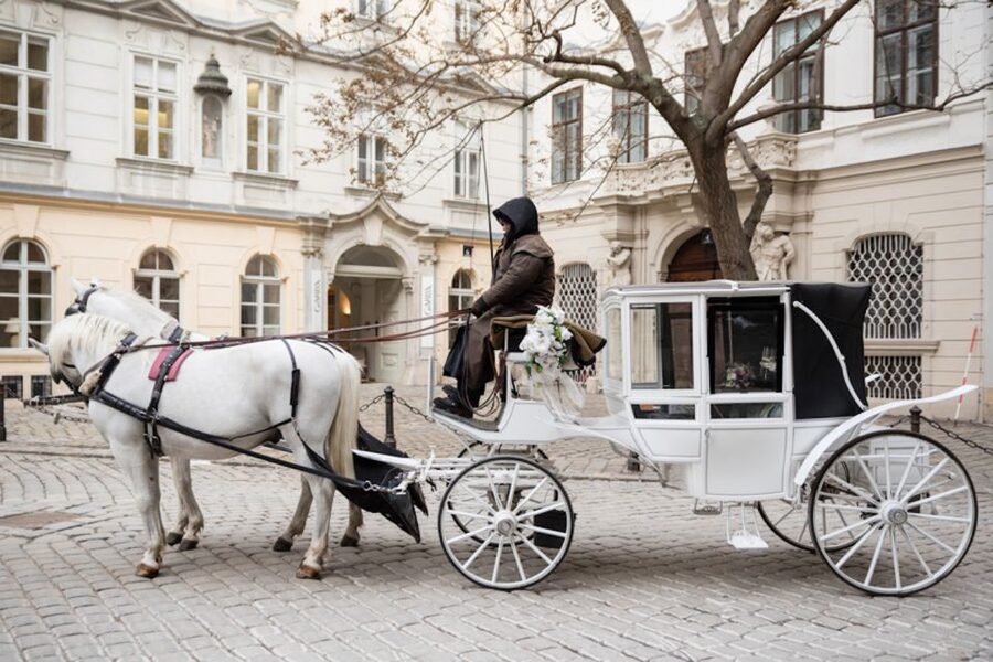 Vienna: Culinary Horse-Drawn Carriage Experience - Price And Overall Value For Four People