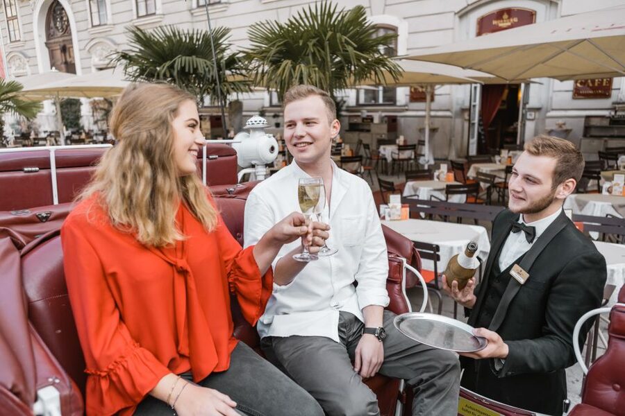 Vienna: Culinary Horse-Drawn Carriage Experience - Who Should Book This Experience?